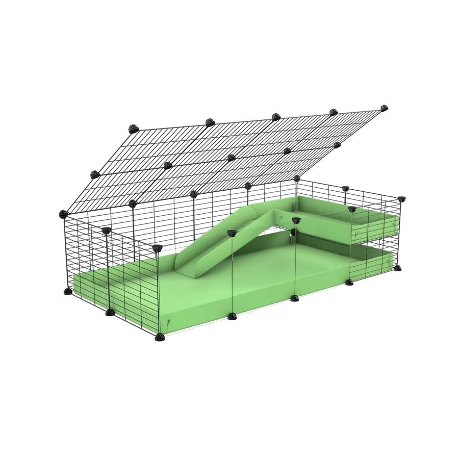 4x2 Clear C&C Cage with Loft & Ramp