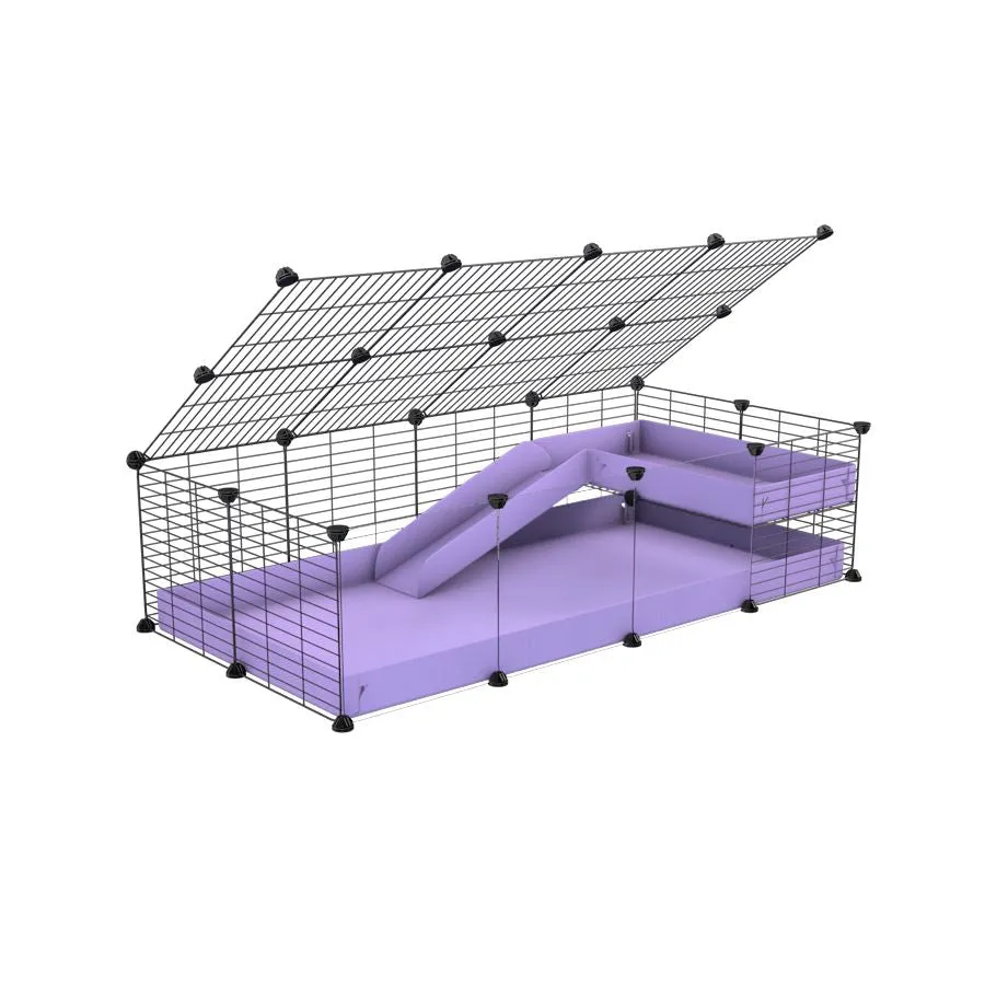 4x2 Clear C&C Cage with Loft & Ramp