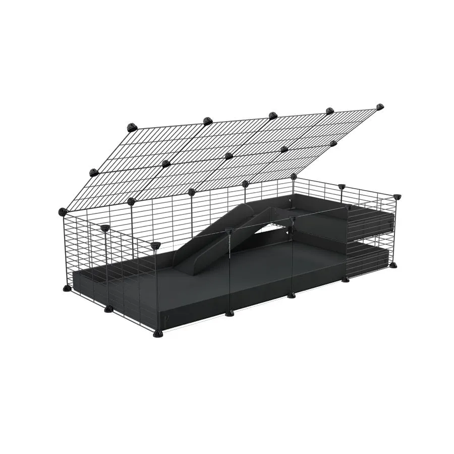 4x2 Clear C&C Cage with Loft & Ramp