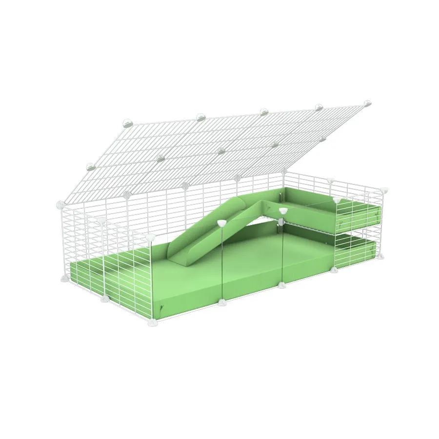 4x2 Clear C&C Cage with Loft & Ramp