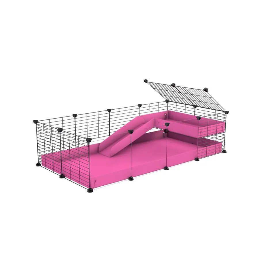 4x2 Clear C&C Cage with Loft & Ramp