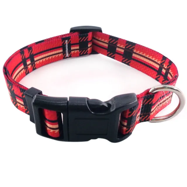 Bohemian Printing Dog Collars