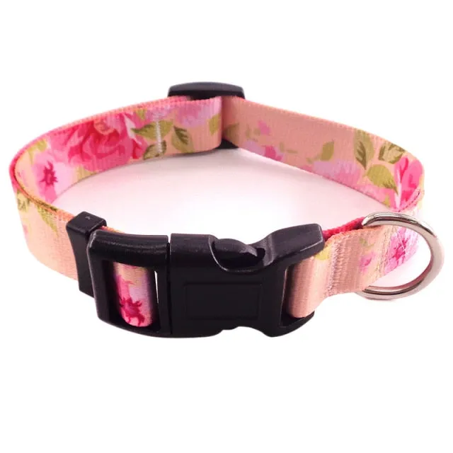 Bohemian Printing Dog Collars