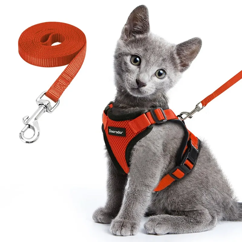 Cat Harness and Leash Set for Walking Small Dog Harness With Reflective Strips Nylon Mesh Pet Clothes For Puppy Kitten Collars