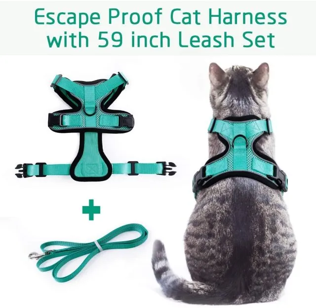 Cat Harness and Leash Set for Walking Small Dog Harness With Reflective Strips Nylon Mesh Pet Clothes For Puppy Kitten Collars
