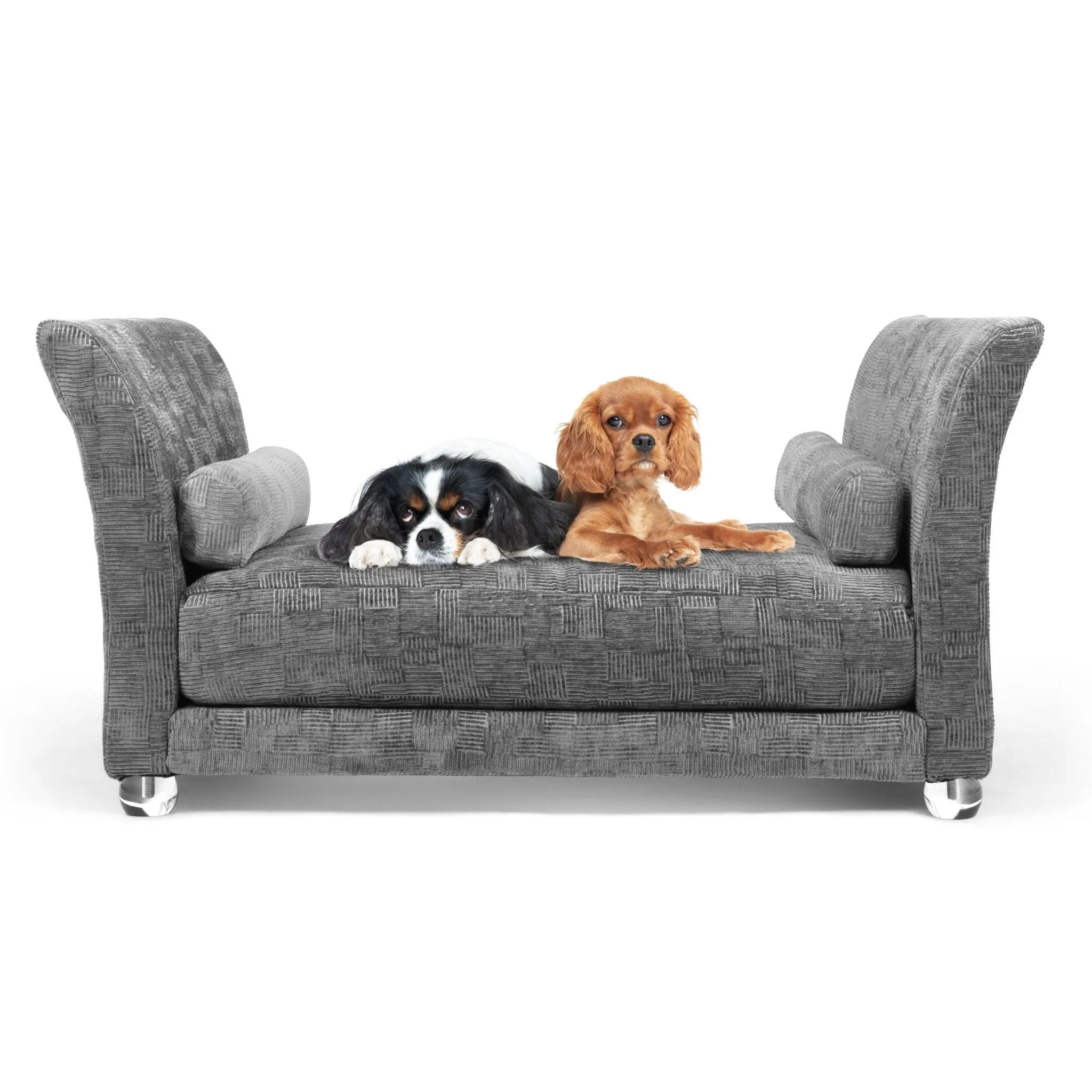 Club Nine Pets Lusso Orthopedic Dog Bed in Seal