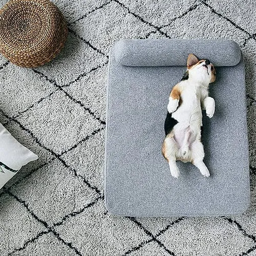 Deep Sleep Orthopaedic Dog Bed