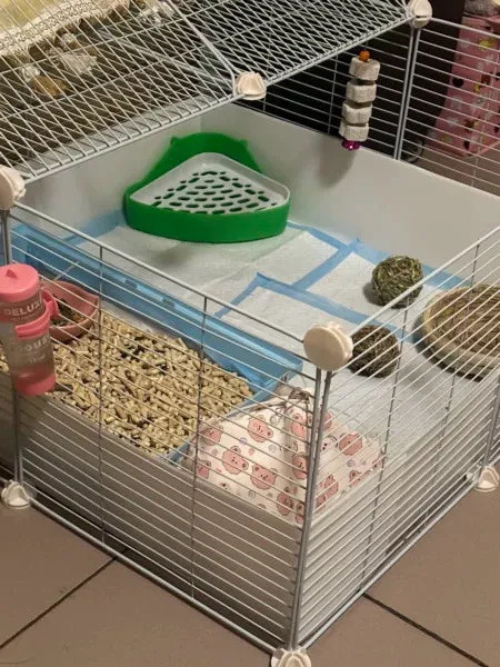 DIY Cage for Guinea Pig Setup 2 Level with Tray 1.5cm Metal Mesh Black (no accessories)