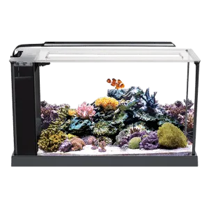 EVO Saltwater All-In-One Nano Aquarium - Fluval