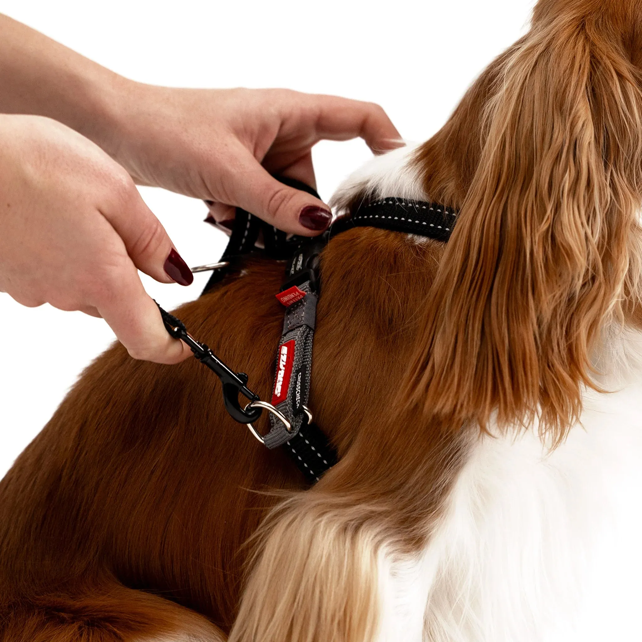 EzyDog Cross Check Harness