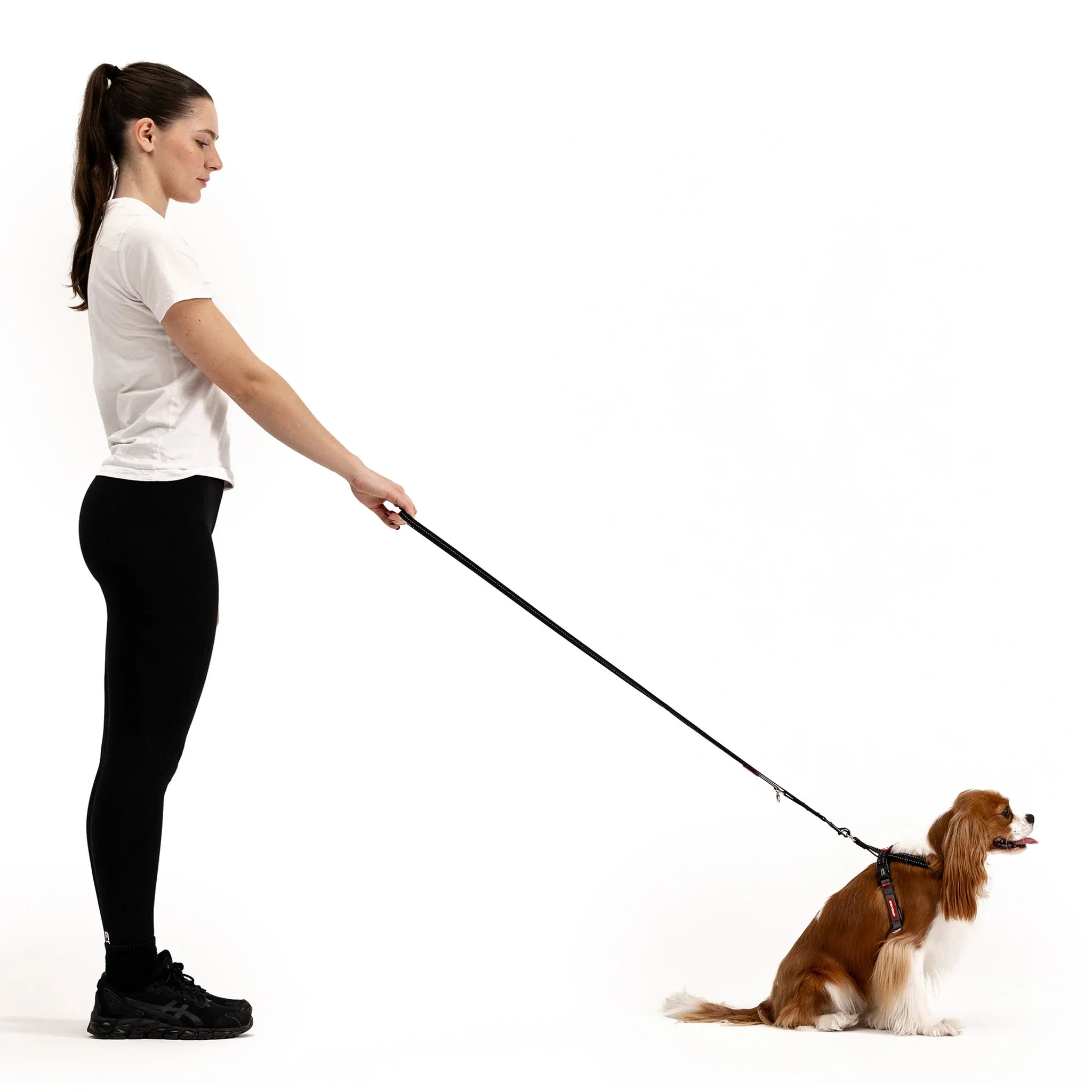 EzyDog Cross Check Harness