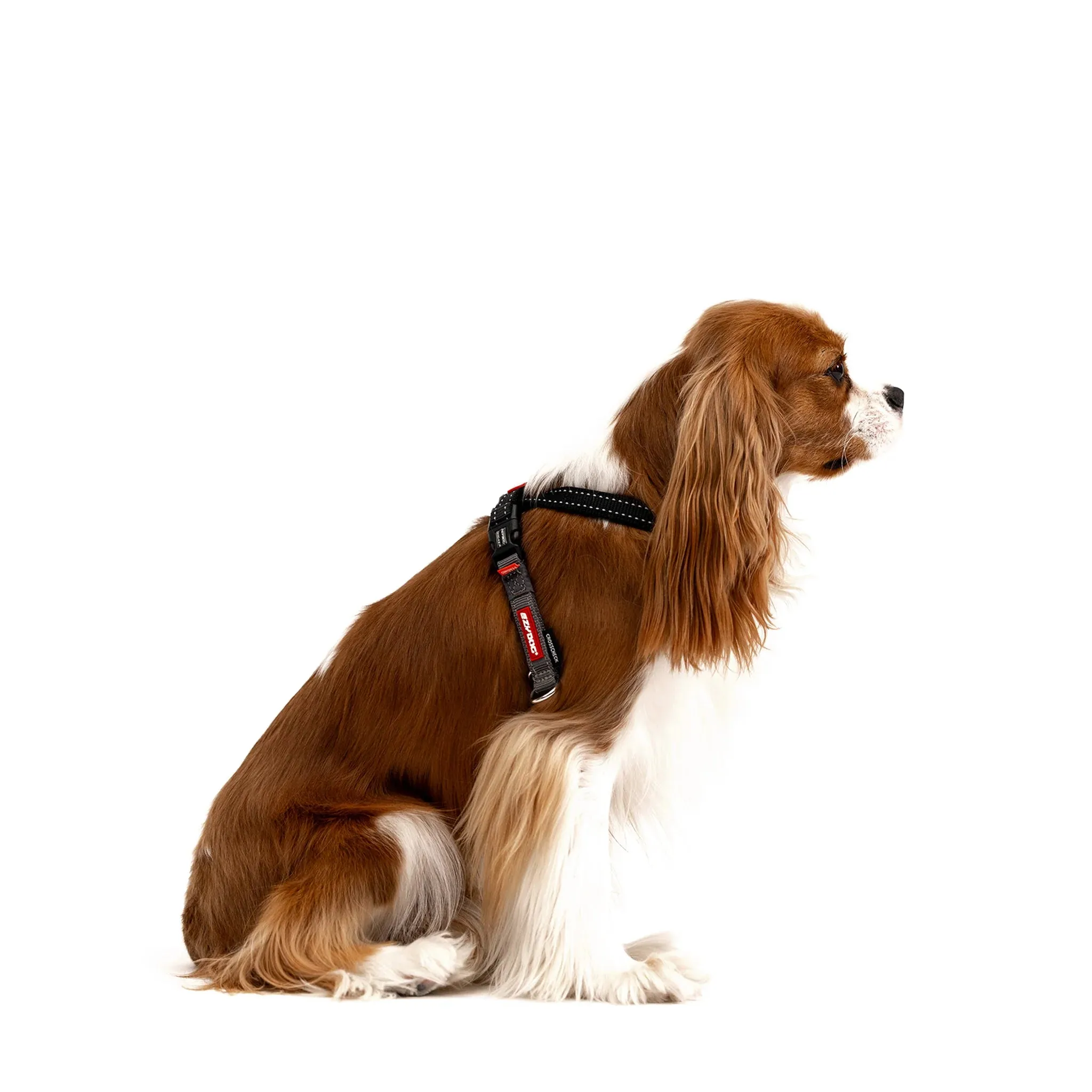 EzyDog Cross Check Harness