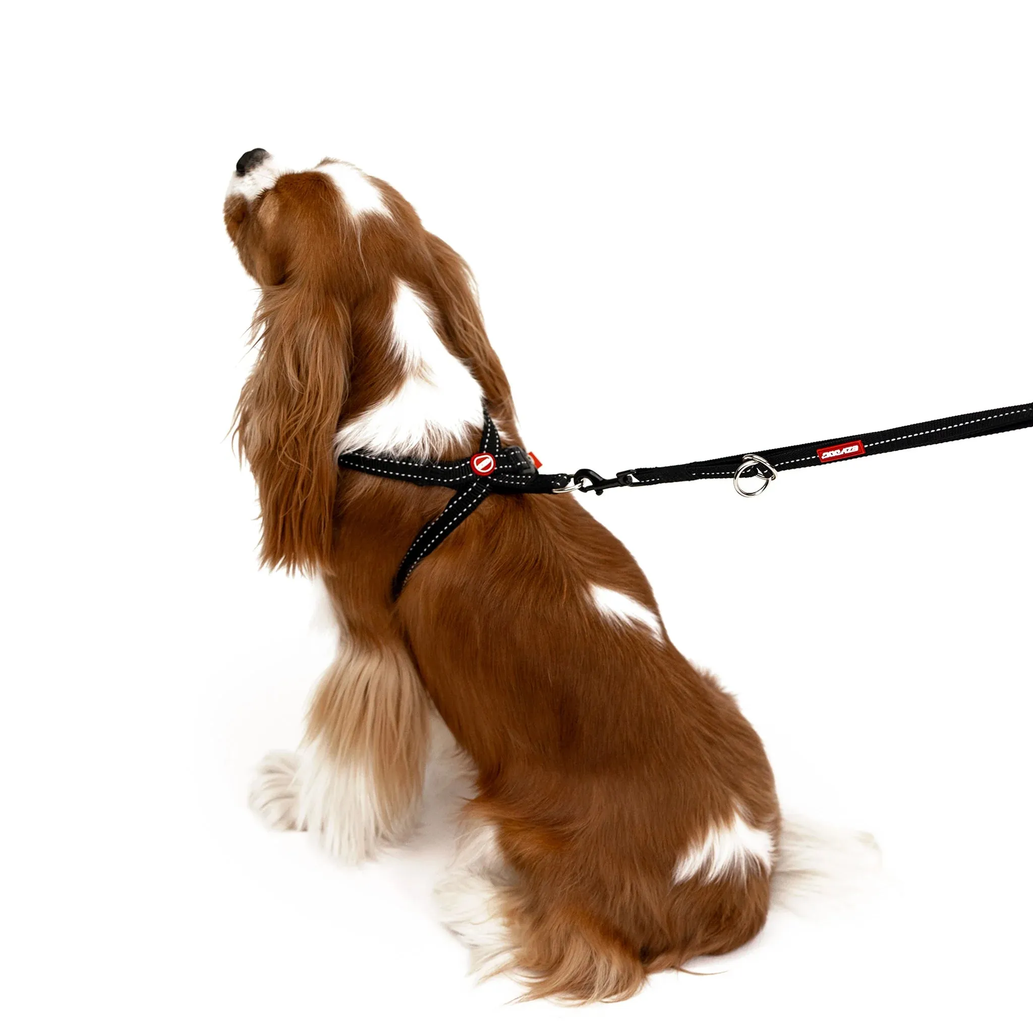EzyDog Cross Check Harness