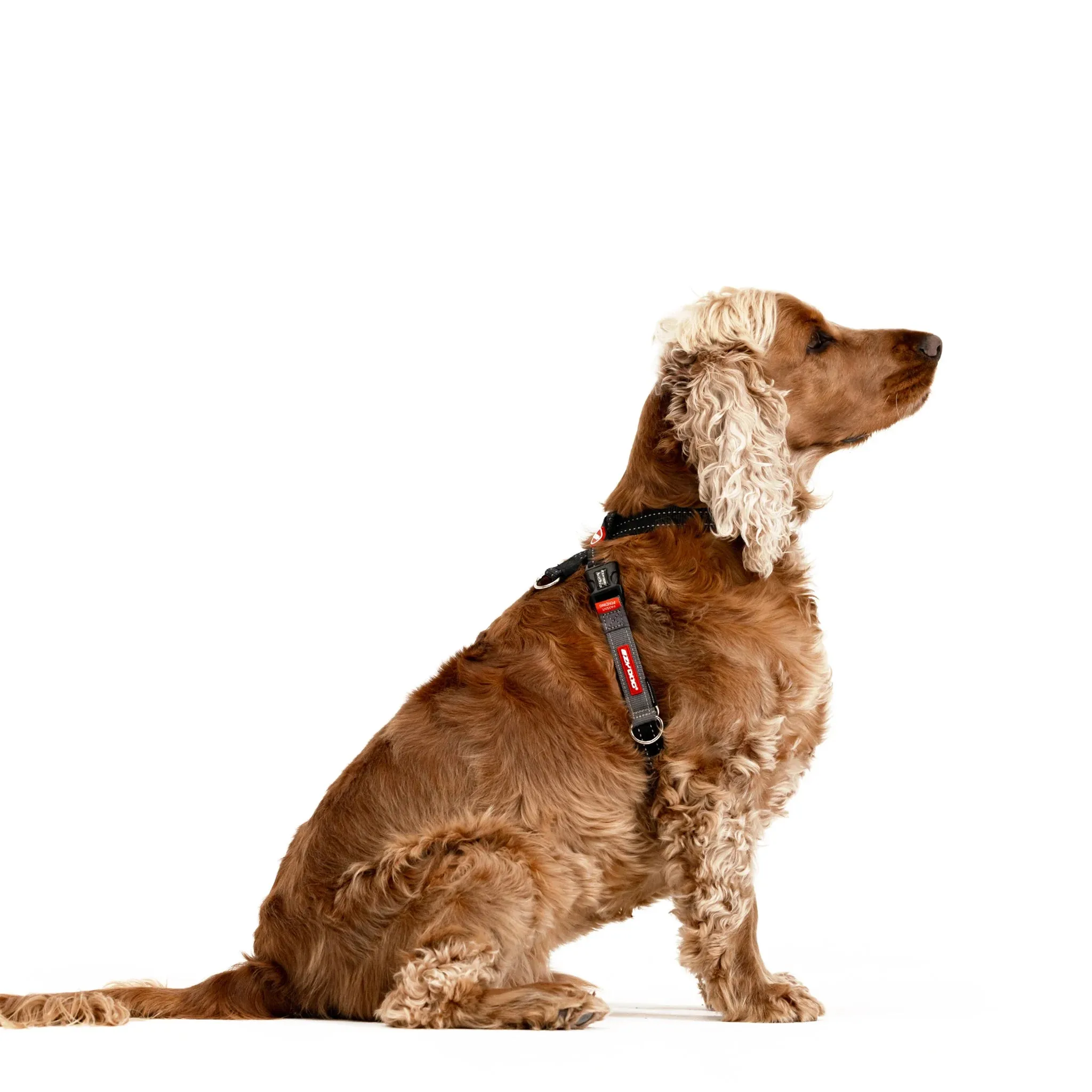 EzyDog Cross Check Harness