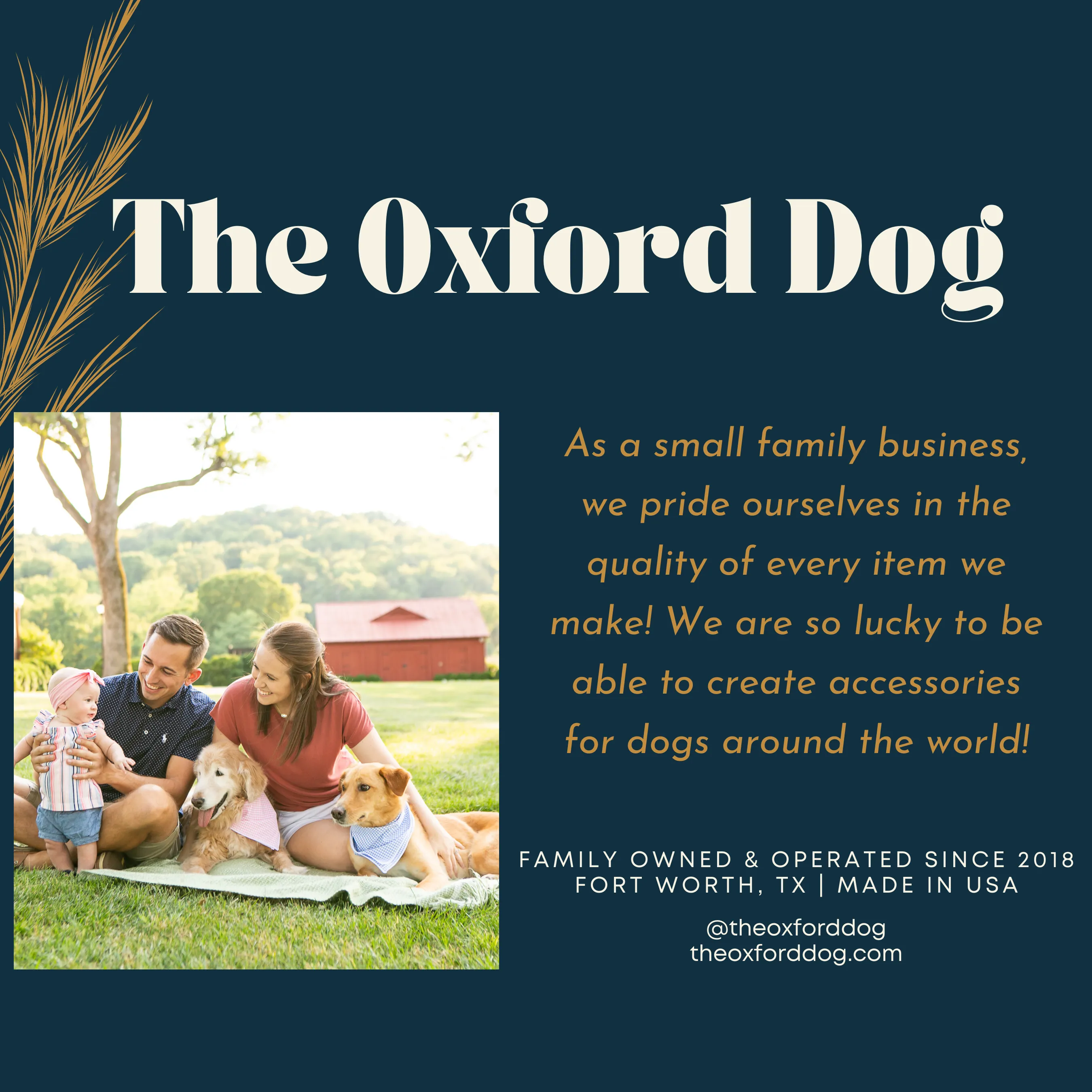 Fall Feast in Navy Dog Collar