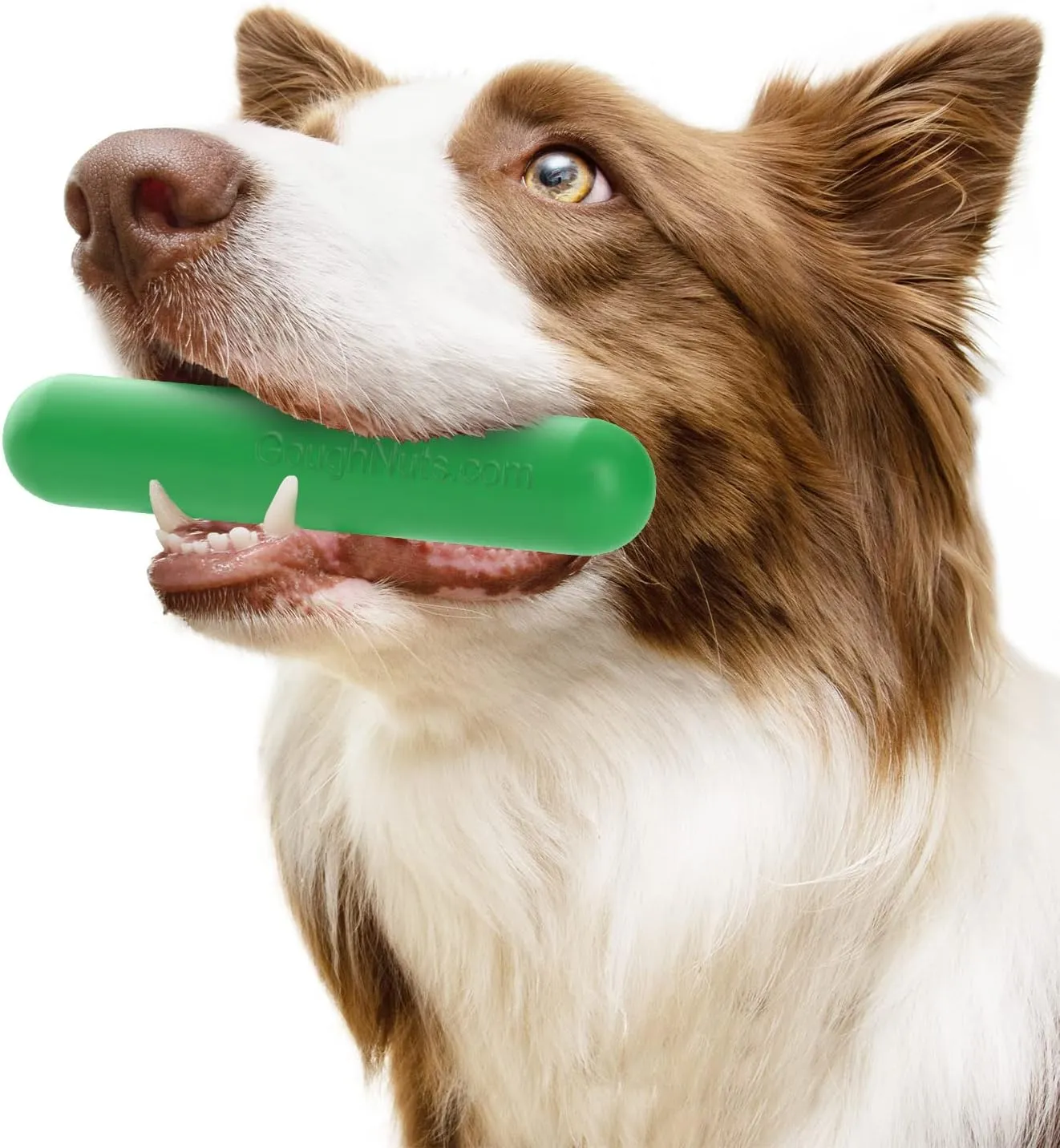 Goughnuts  Dog Toys for Aggressive Chewers | Virtually Indestructible Dog Toy Stick for Small Breeds | Heavy Duty Dog Toy | Green