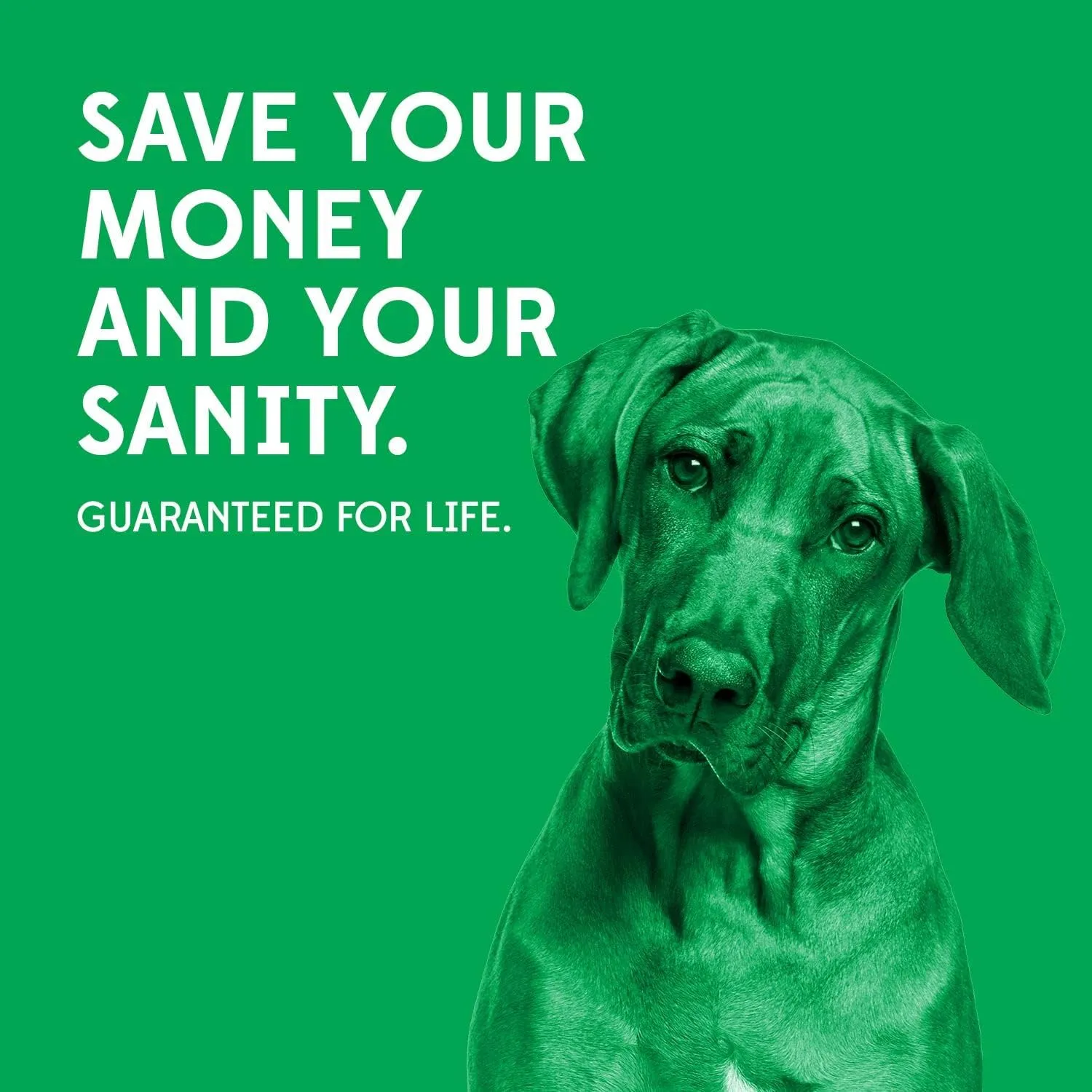 Goughnuts  Dog Toys for Aggressive Chewers | Virtually Indestructible Dog Toy Stick for Small Breeds | Heavy Duty Dog Toy | Green