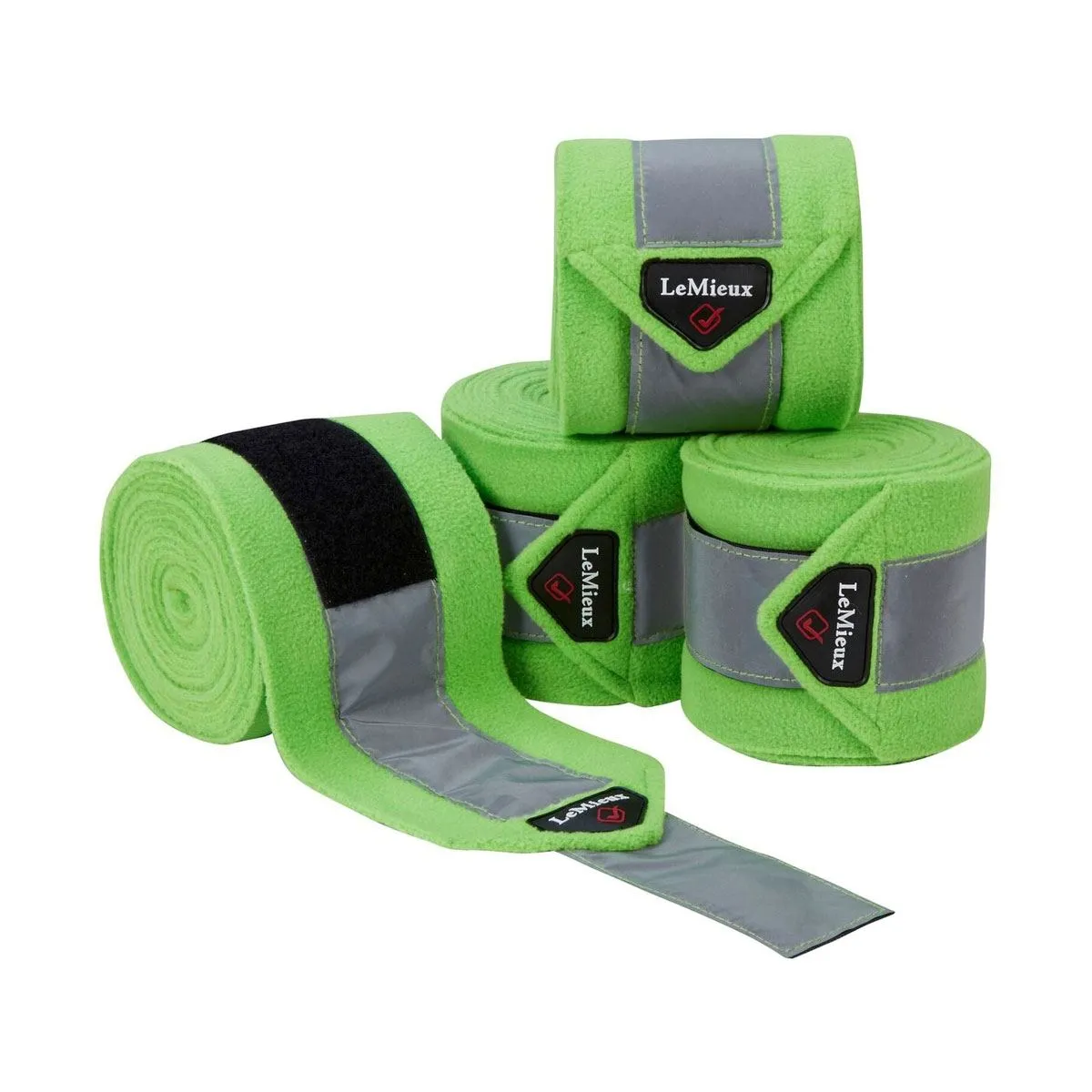 HySHINE Complete Pro Grooming Bag