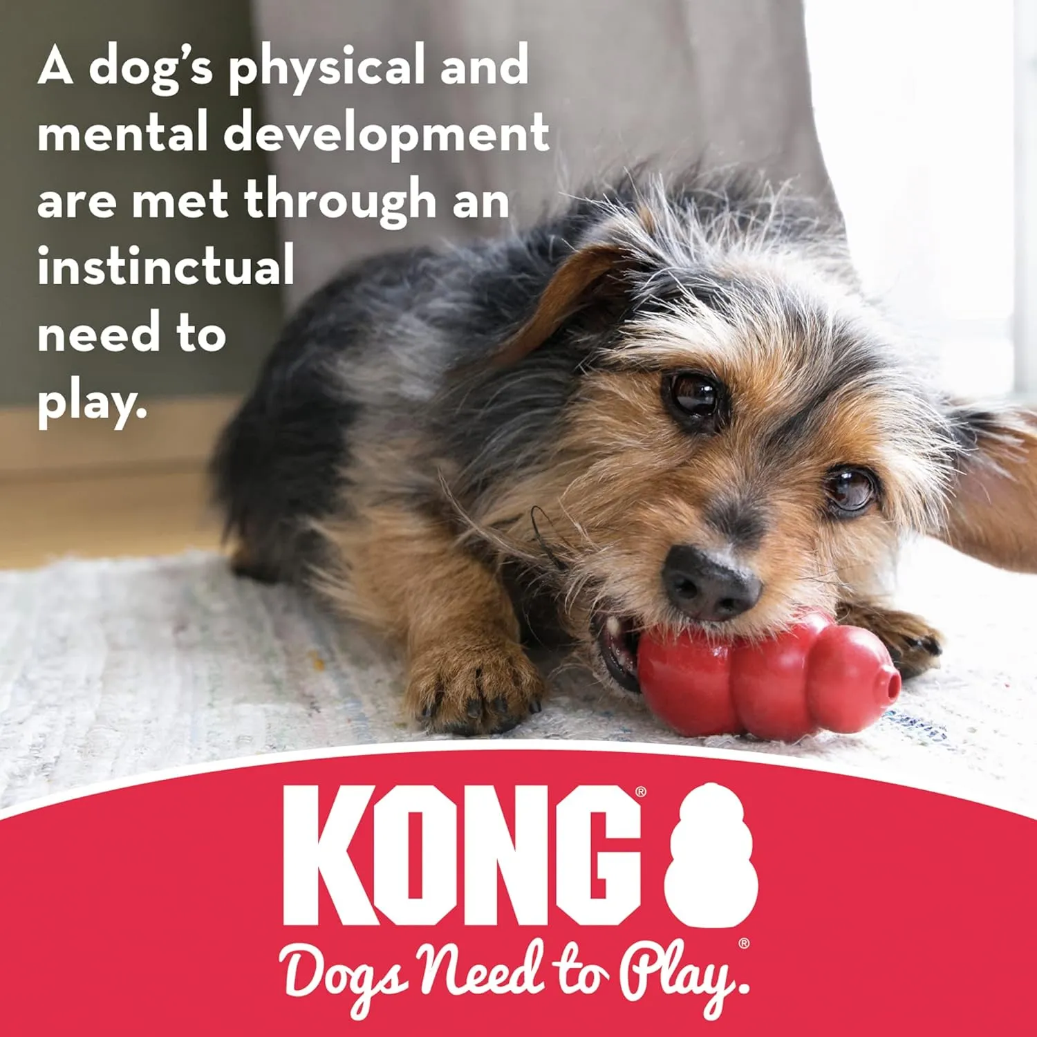 KONG - Biscuit Ball - Durable Rubber, Treat Dispensing Toy - for Large Dogs
