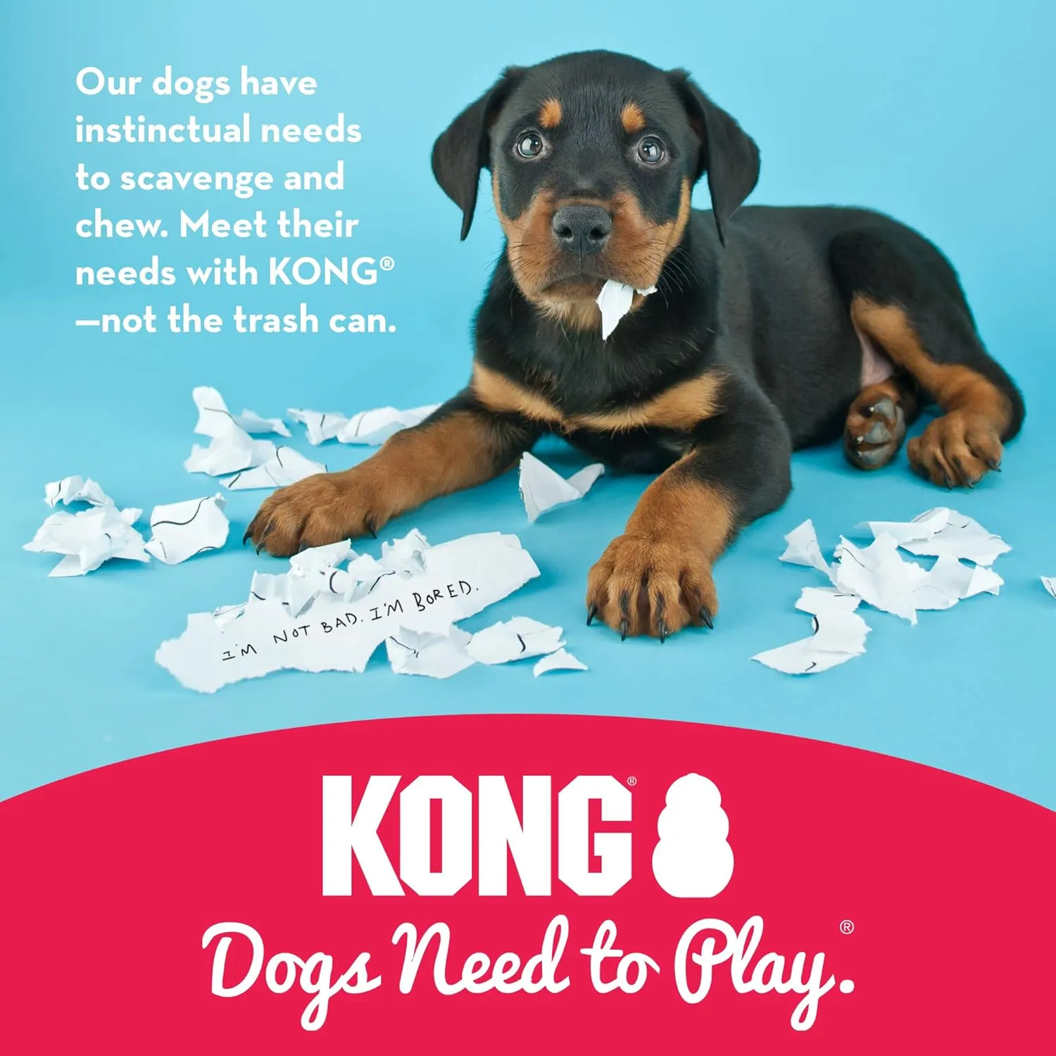 KONG Classic Stuffable Dog Toy - Fetch & Chew Toy for Dogs - Treat-Filling Capabilities & Erratic Bounce for Extended Play Time - Durable Natural Rubber Material - for Medium Dogs