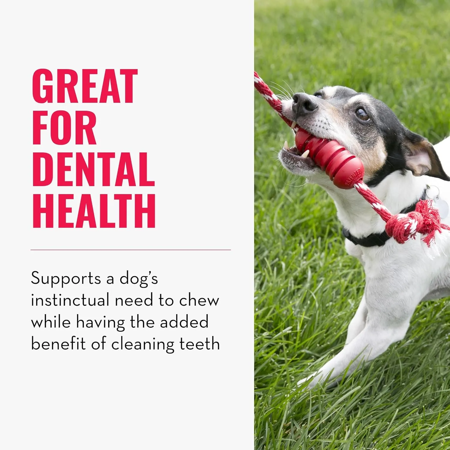 KONG Dental with Rope- for Dog Dental Care - Stuffable Chew Toy - Provides Chewing Outlet & Satisfies Instinctual Needs - Cleans Teeth & Gums - Made with Durable Natural Rubber - for Medium Dogs