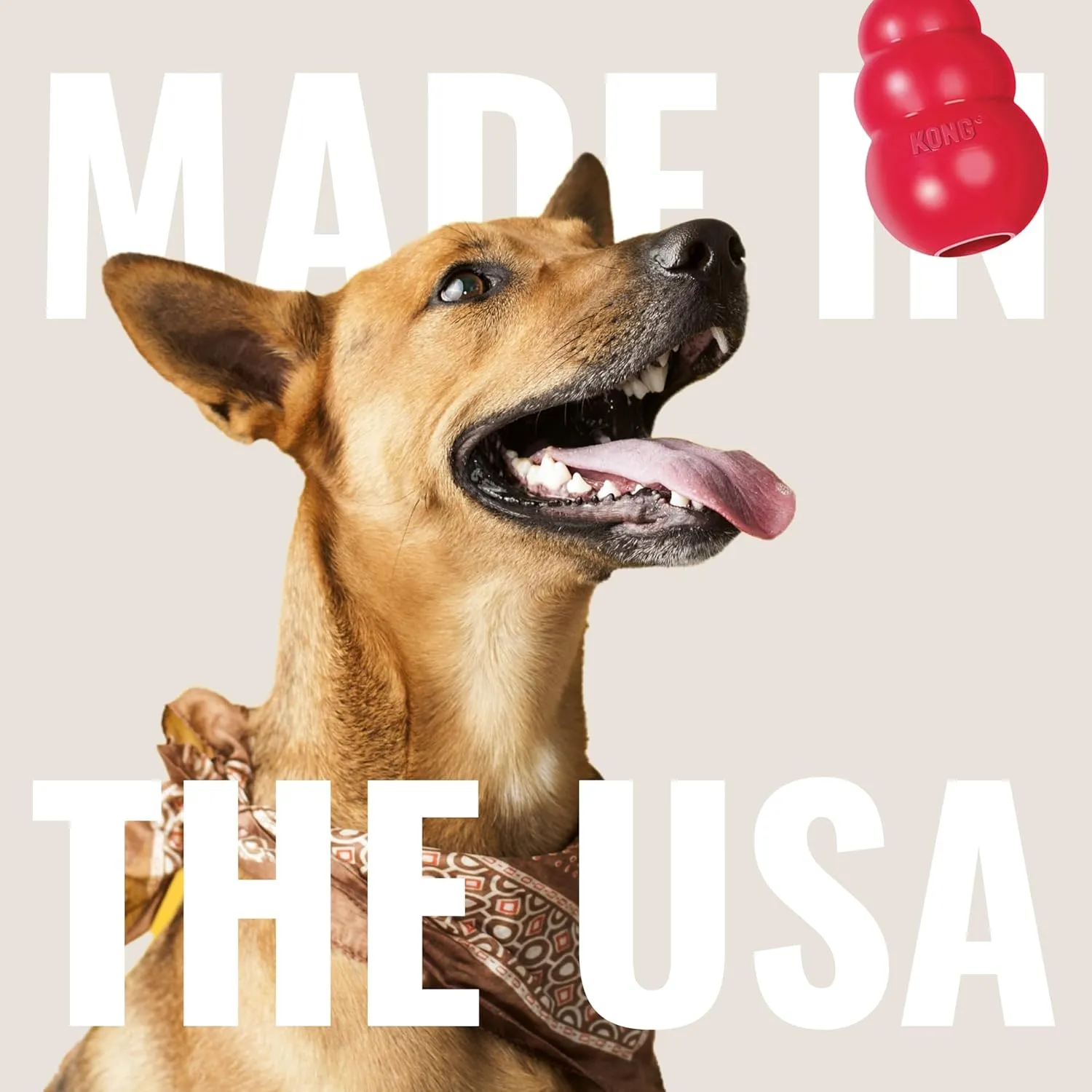 KONG Dental with Rope- for Dog Dental Care - Stuffable Chew Toy - Provides Chewing Outlet & Satisfies Instinctual Needs - Cleans Teeth & Gums - Made with Durable Natural Rubber - for Medium Dogs