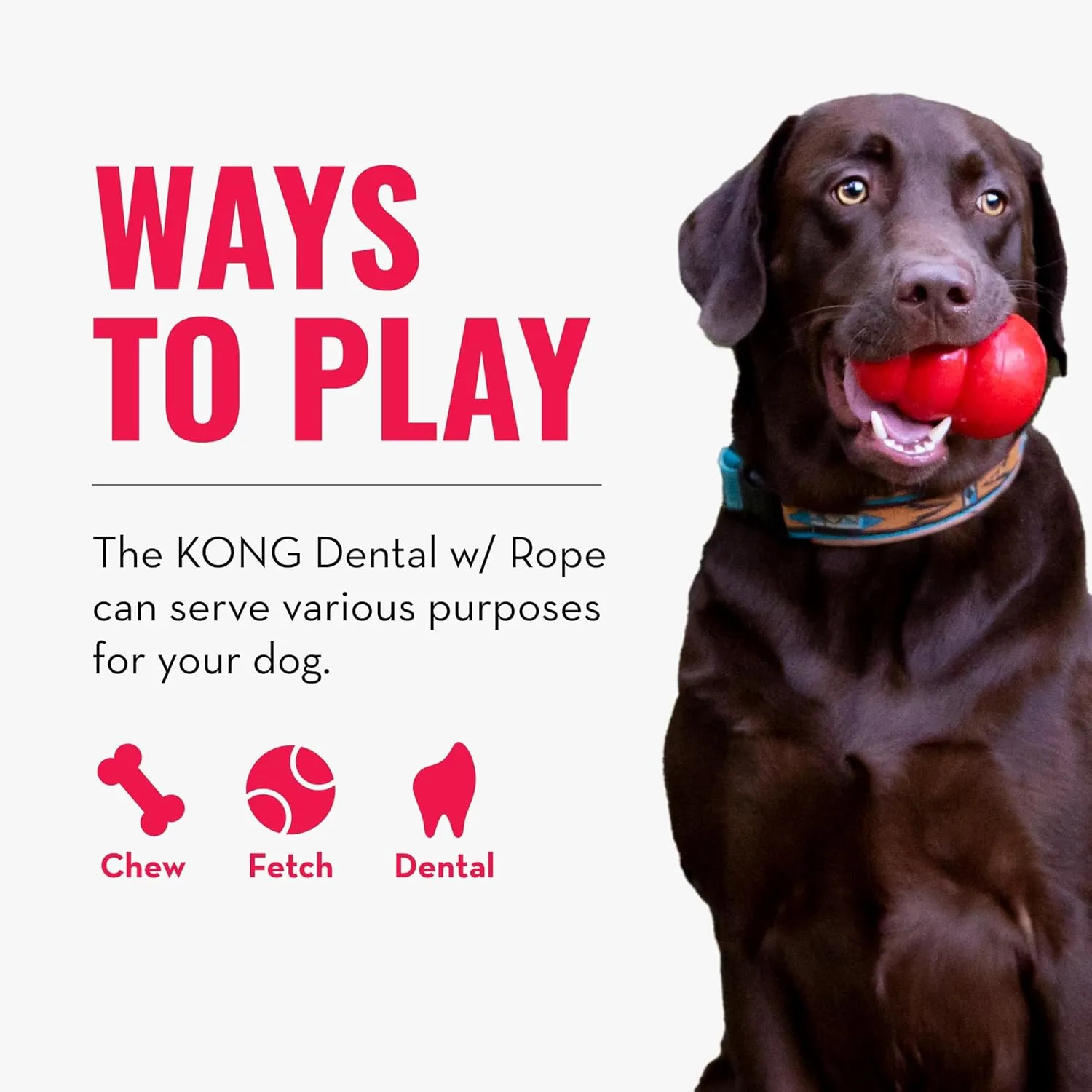 KONG Dental with Rope- for Dog Dental Care - Stuffable Chew Toy - Provides Chewing Outlet & Satisfies Instinctual Needs - Cleans Teeth & Gums - Made with Durable Natural Rubber - for Medium Dogs