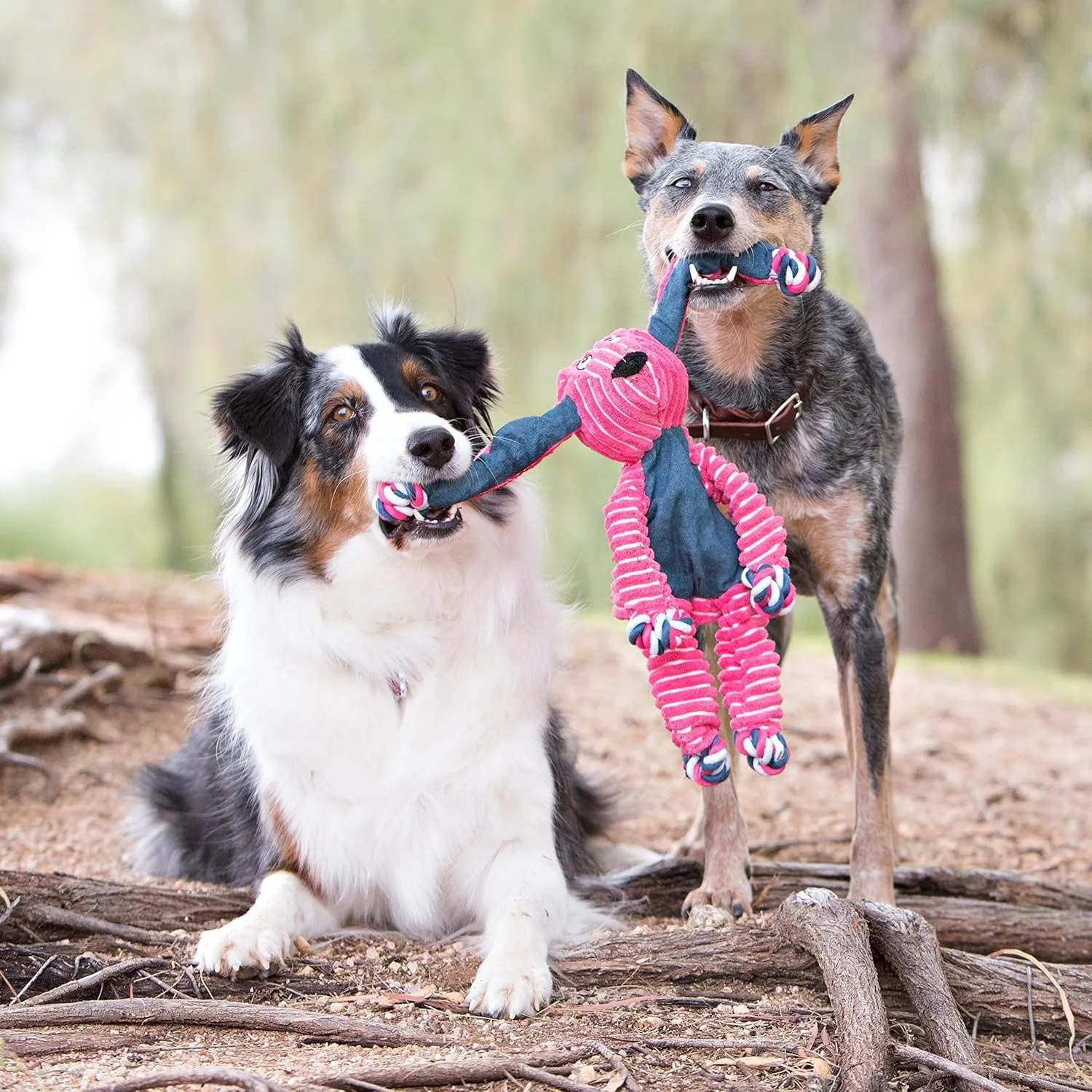 KONG - Floppy Knots Fox - Internal Knotted Ropes and Minimal Stuffing for Less Mess - For Small/Medium Dogs