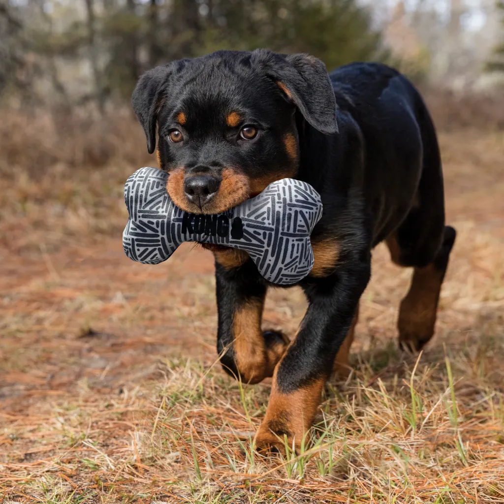 Kong Maxx Bone Toy For Dogs