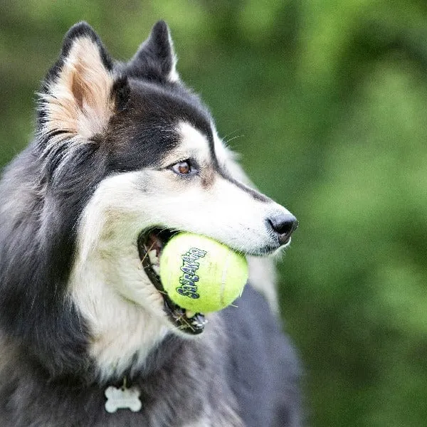 KONG SqueakAir Balls Dog Toy