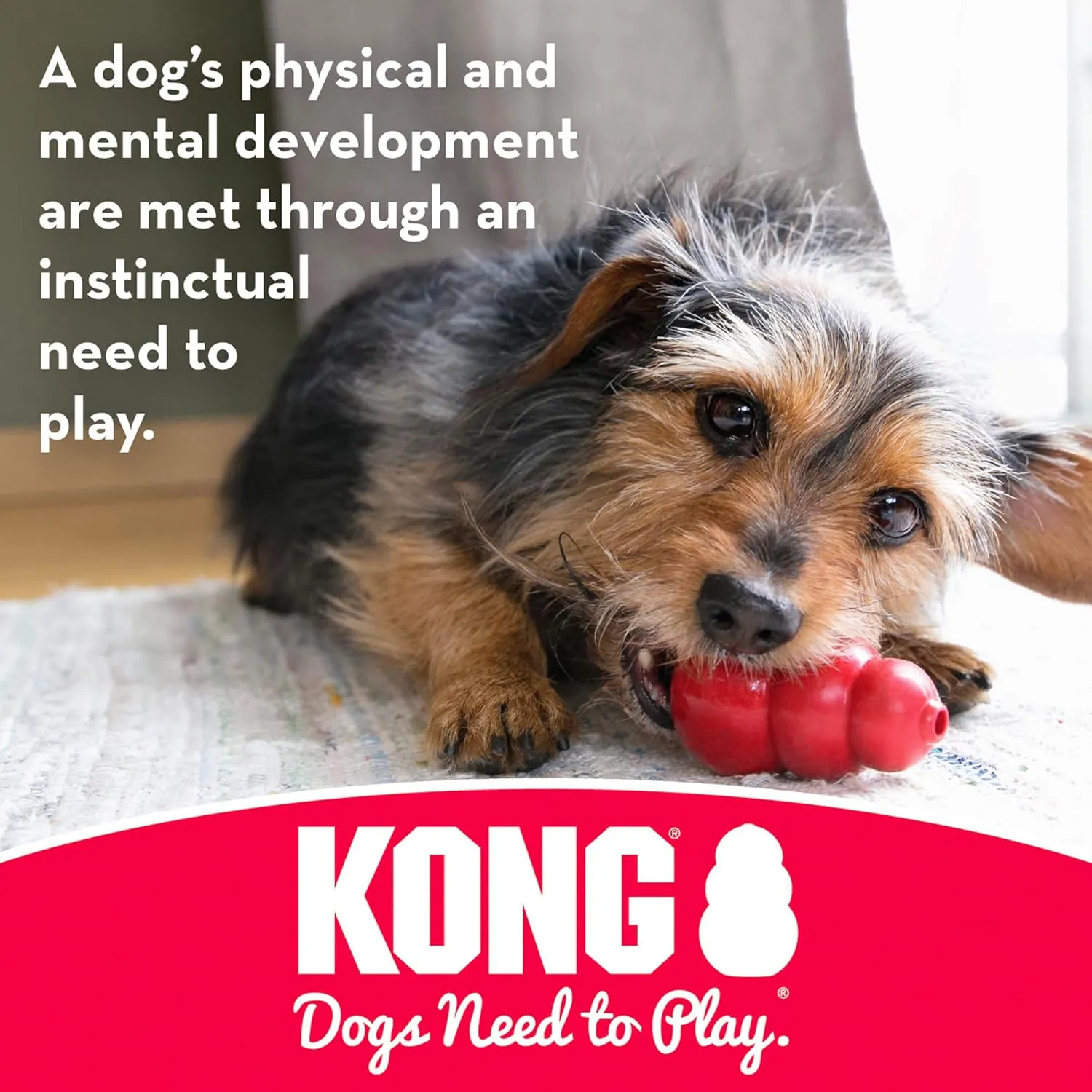 KONG Stuff-A-Ball - Durable Chew Toy for Dogs - Natural Rubber Dog Toy for Dental Health - Pet Toy for Chewing & Teeth Cleaning - Stuffable Toy for Dog Treats & Snacks - for Small Dogs