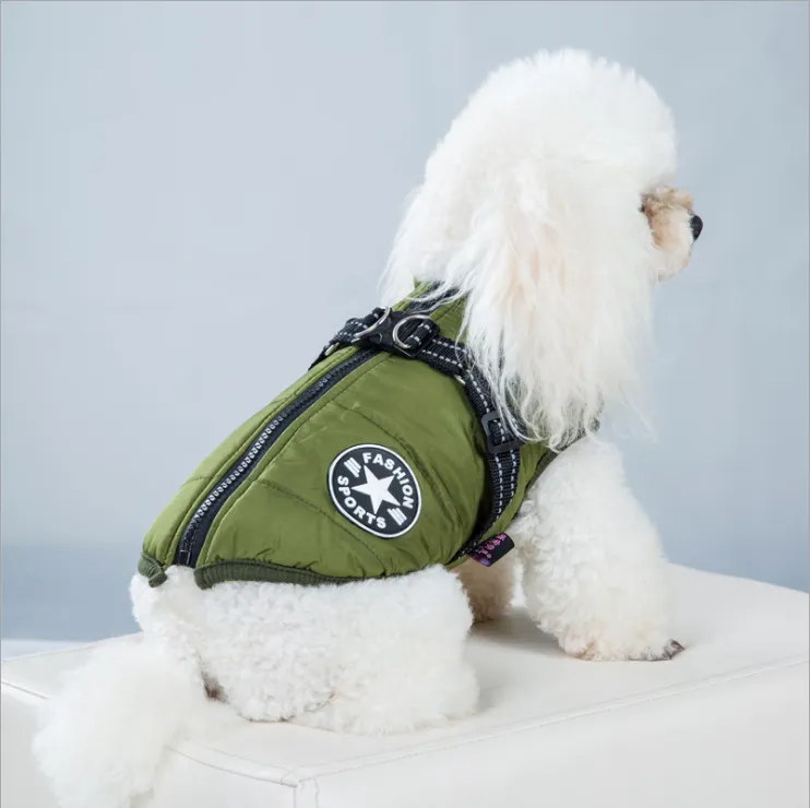 Labrador Winter Dog Jacket: Waterproof