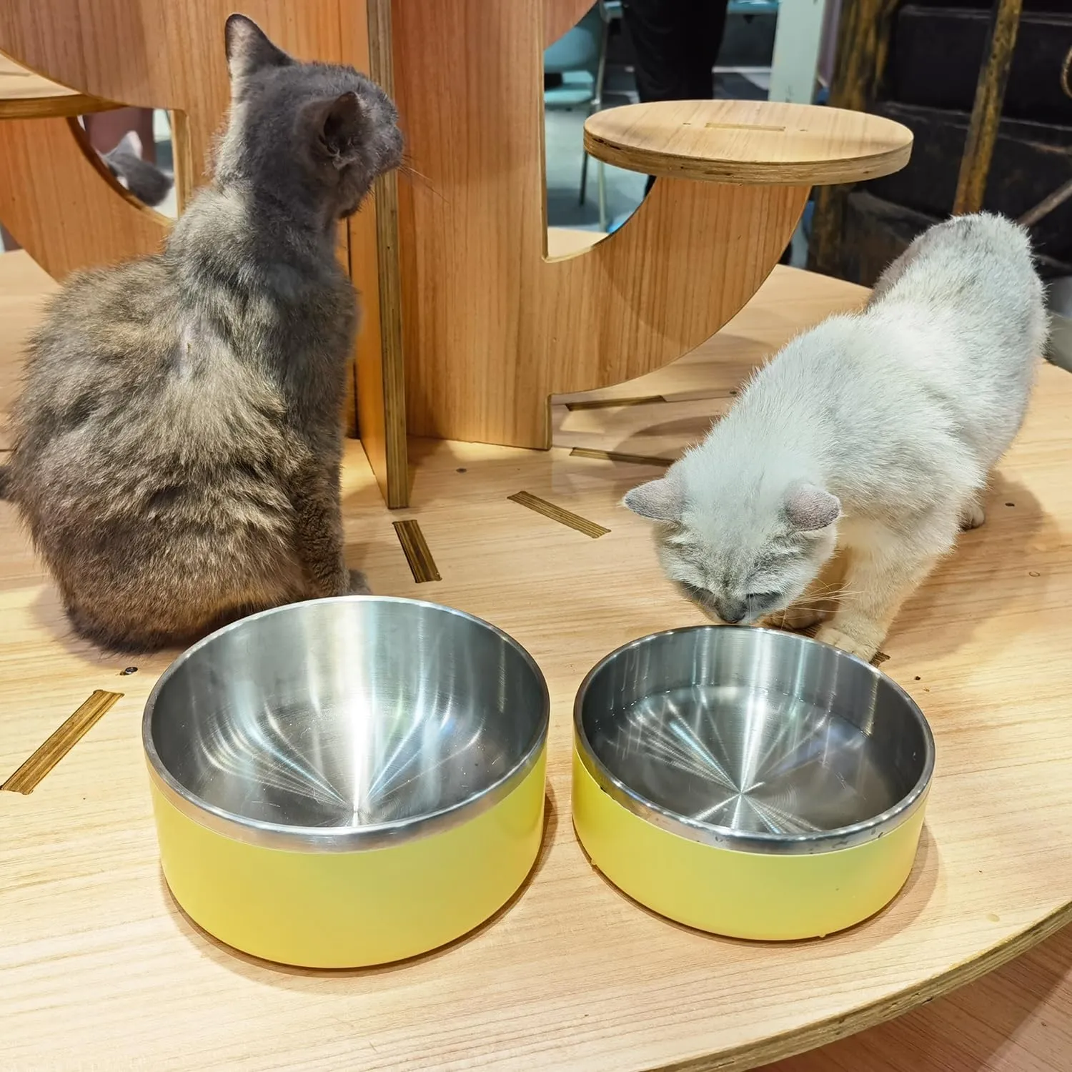 Light Yellow Stainless Steel 64oz Dog Bowls for Large Dogs Non-Slip & Rustproof