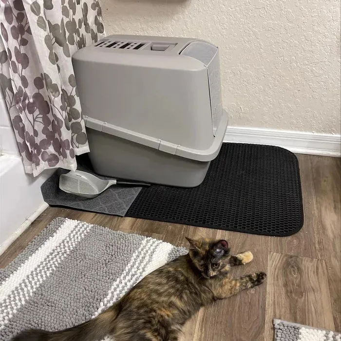 New Enclosed Waste Cat Pan litter box - XL by up & up! 5 Star Reviews!