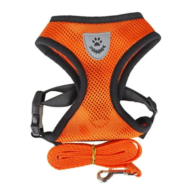 No-Pull Adjustable Harness for Small Dogs, Cats