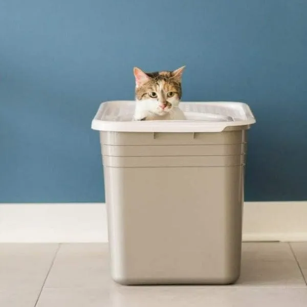 Petmate Top Entry Litter Box