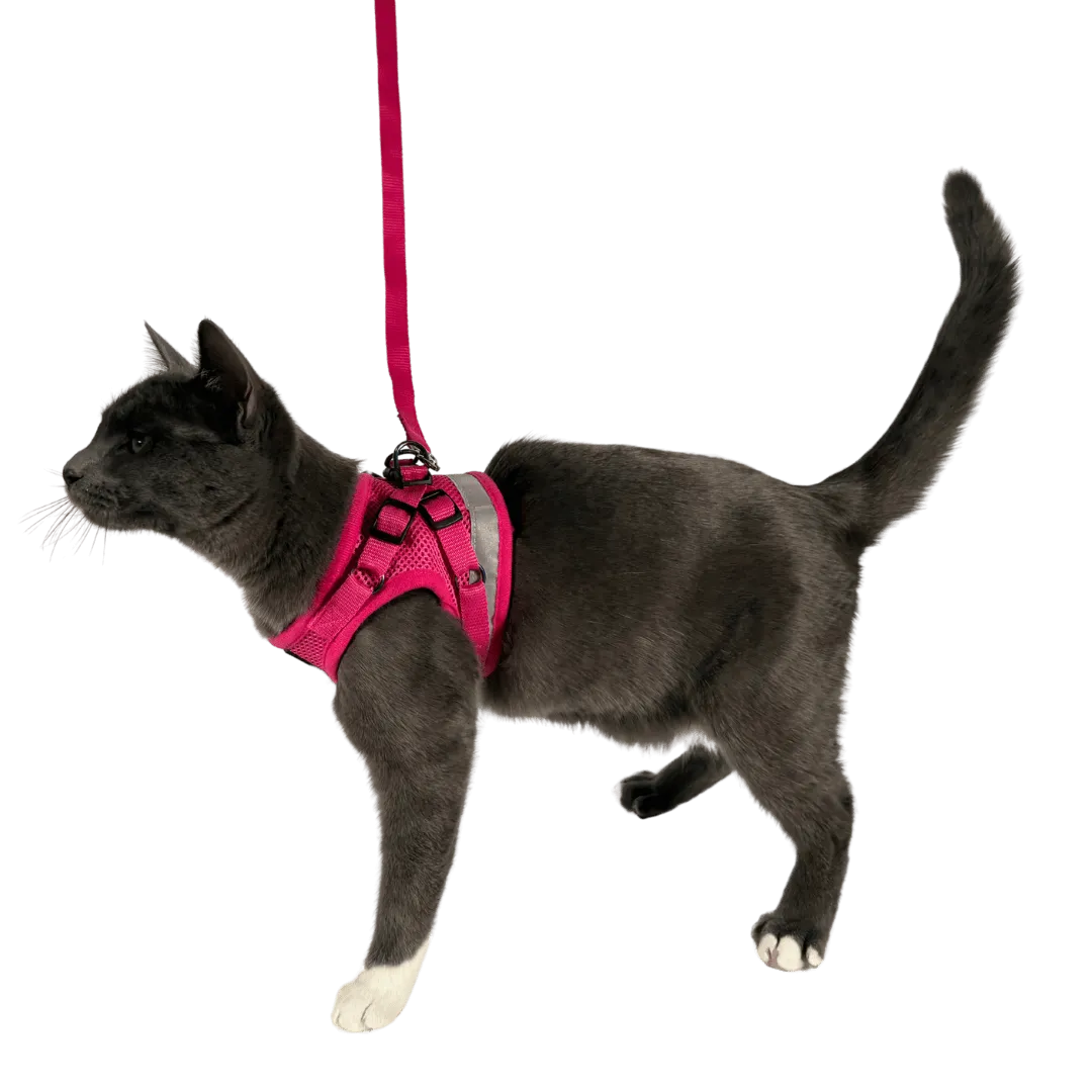 "The Purrfectly Pink" Iridescent Limited-Edition Harness & Leash Set