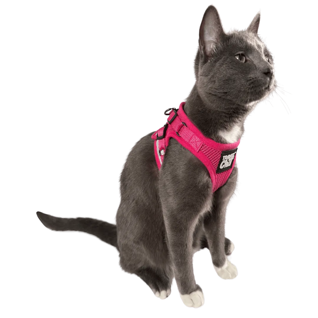 "The Purrfectly Pink" Iridescent Limited-Edition Harness & Leash Set