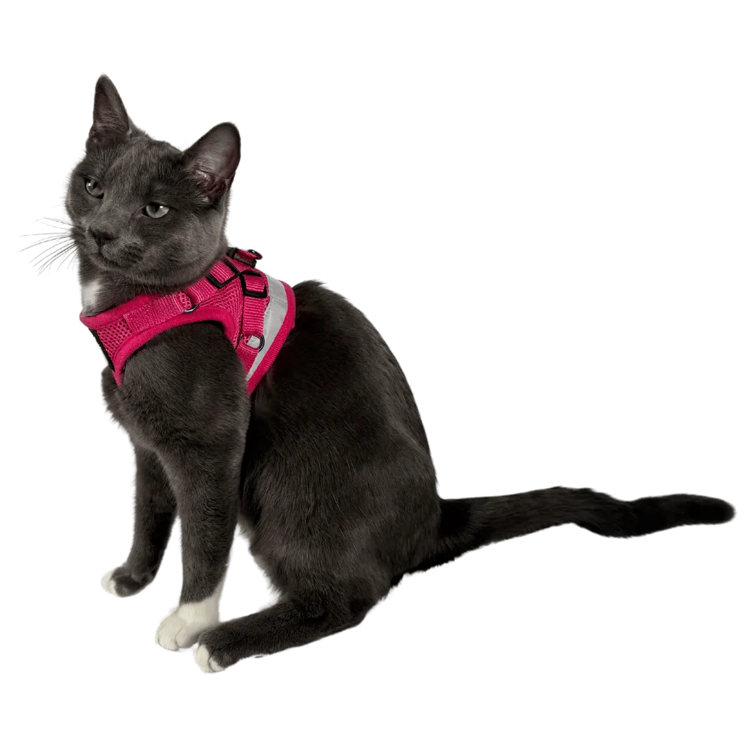 "The Purrfectly Pink" Iridescent Limited-Edition Harness & Leash Set