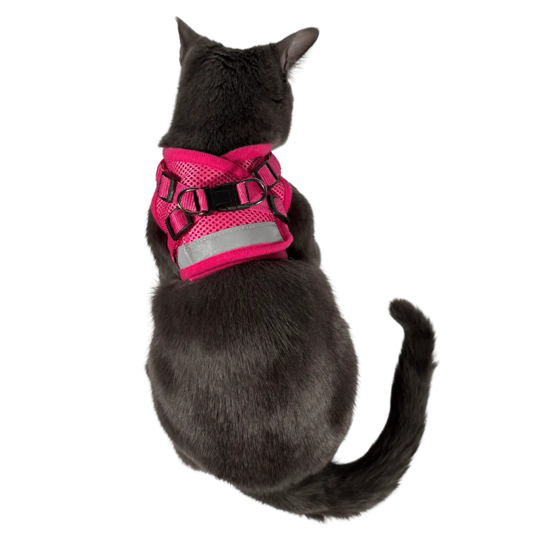 "The Purrfectly Pink" Iridescent Limited-Edition Harness & Leash Set