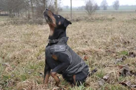 Rain Jackets / All-Year Coats for Dogs, Black, XS to 4XL