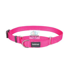 Red Dingo Classic Collar in Hot Pink for Dogs