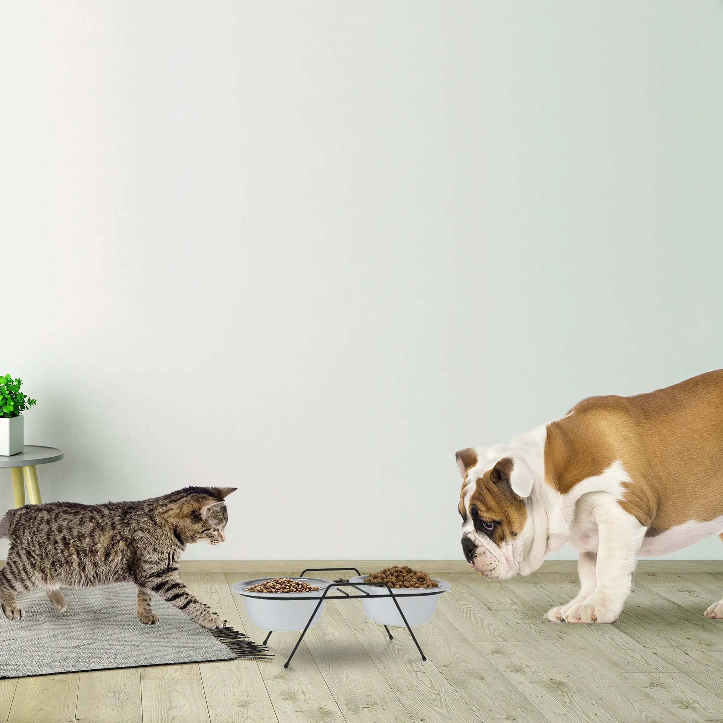Stainless Steel Elevated Pet Bowls and Iron Stand
