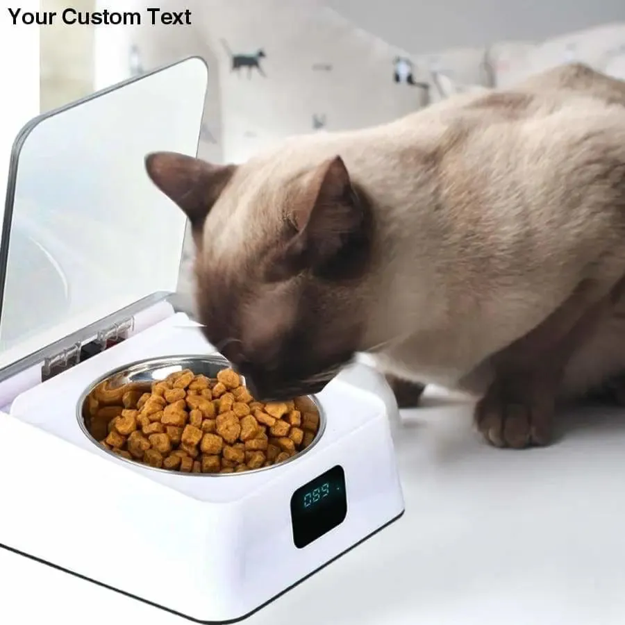 Stainless Steel Portable Pet Dog, Cat Outdoor Travel Water Bowl Dog Feeder Slow Eating Pet Bowl Eco