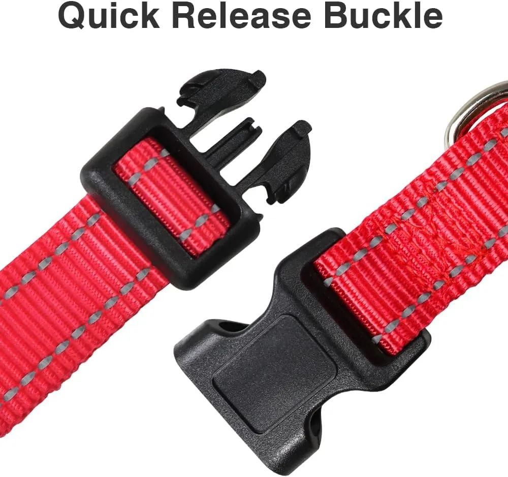 Taglory Reflective Adjustable Dog Collars for Puppy Small Medium Large Dogs, Thin Nylon Webbing and Quick Release Plastic Buckle(Red, XSmall)