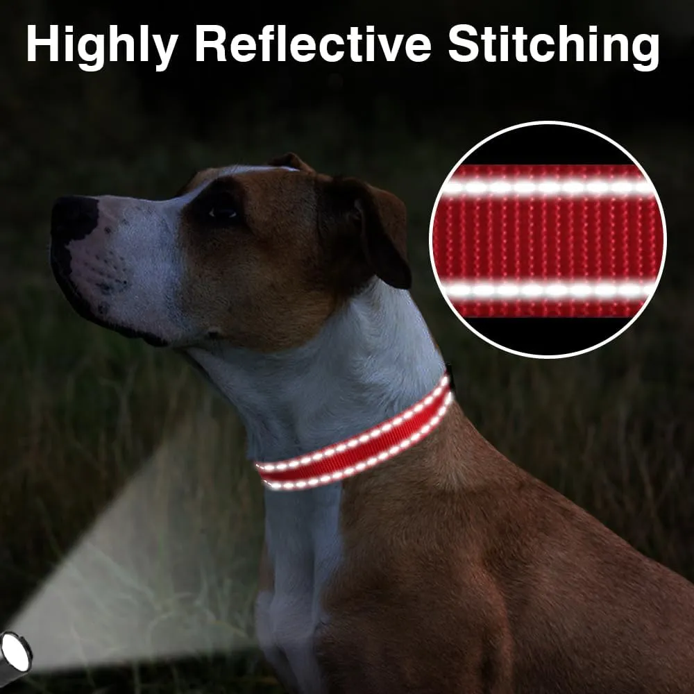 Taglory Reflective Adjustable Dog Collars for Puppy Small Medium Large Dogs, Thin Nylon Webbing and Quick Release Plastic Buckle(Red, XSmall)