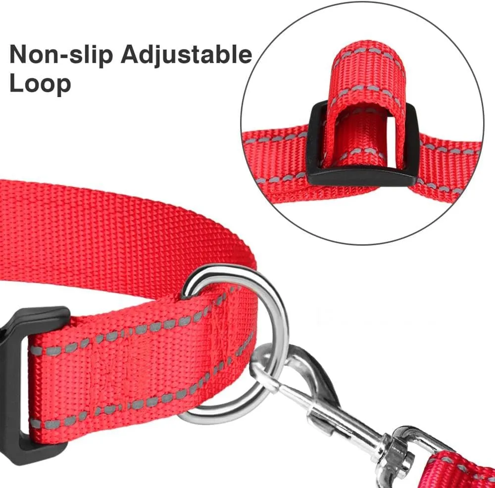 Taglory Reflective Adjustable Dog Collars for Puppy Small Medium Large Dogs, Thin Nylon Webbing and Quick Release Plastic Buckle(Red, XSmall)