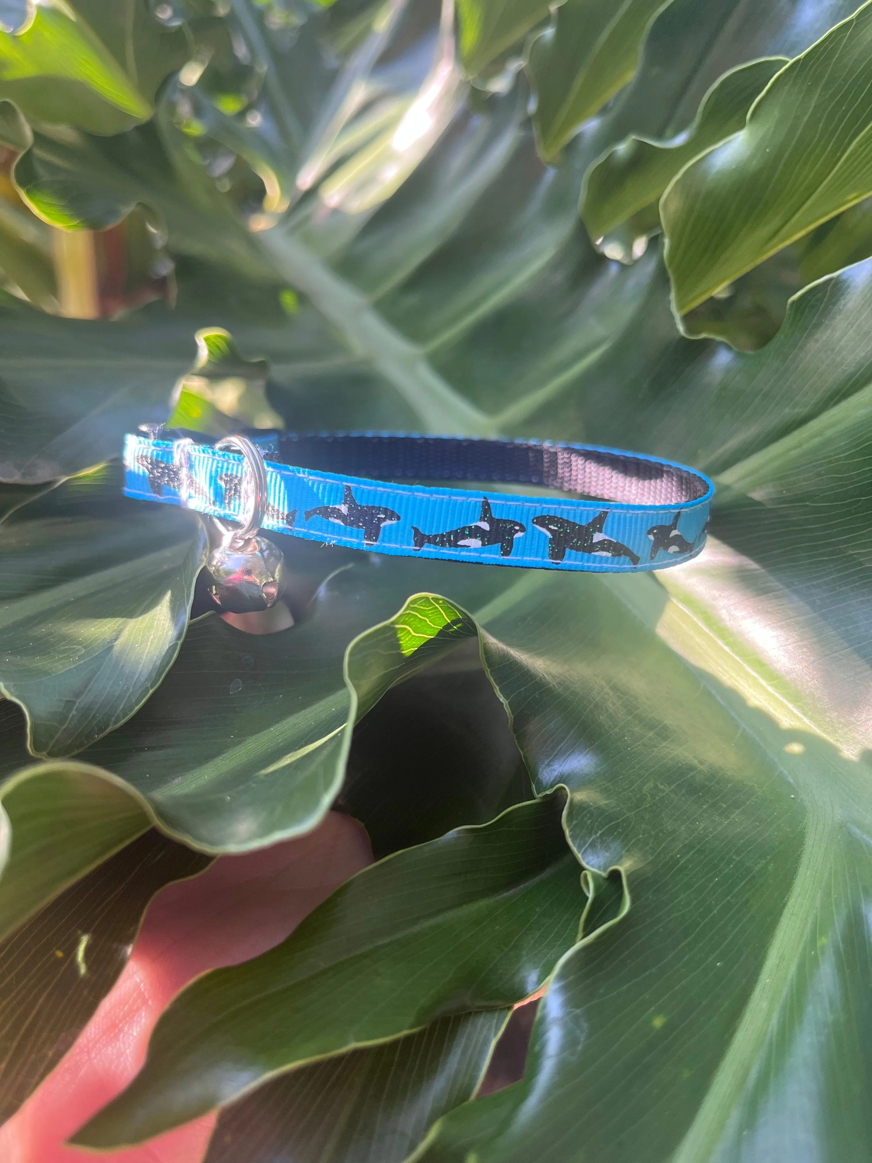 Whale Cat Collar