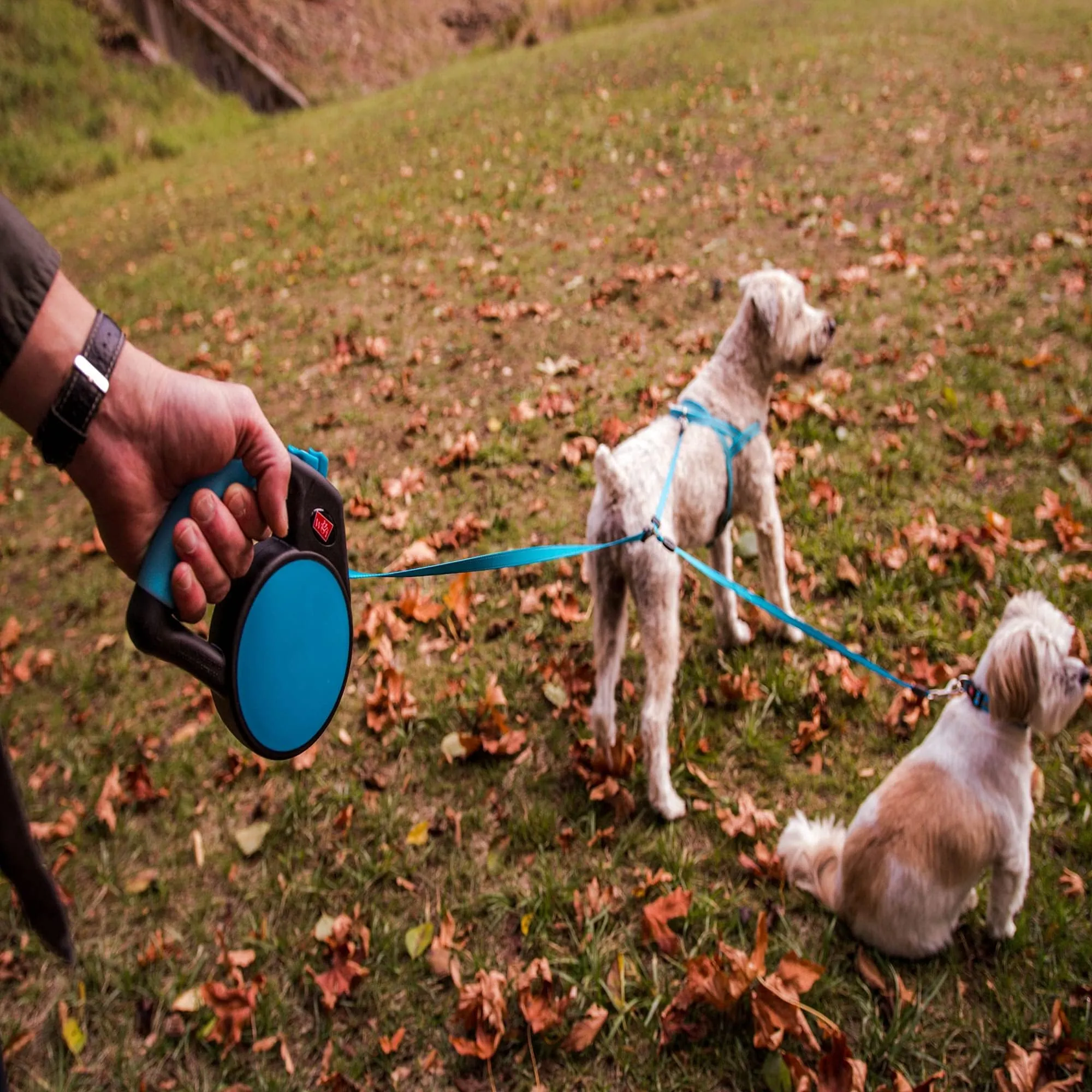 Wigzi Dual-Dog Waking Retractable Easy Lock Gel Handle Auto Untangle Dog Leash with Coupler - Blue - All Sizes - Up to 18 Feet